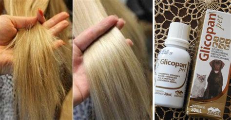 glicopan pet no cabelo antes e depois